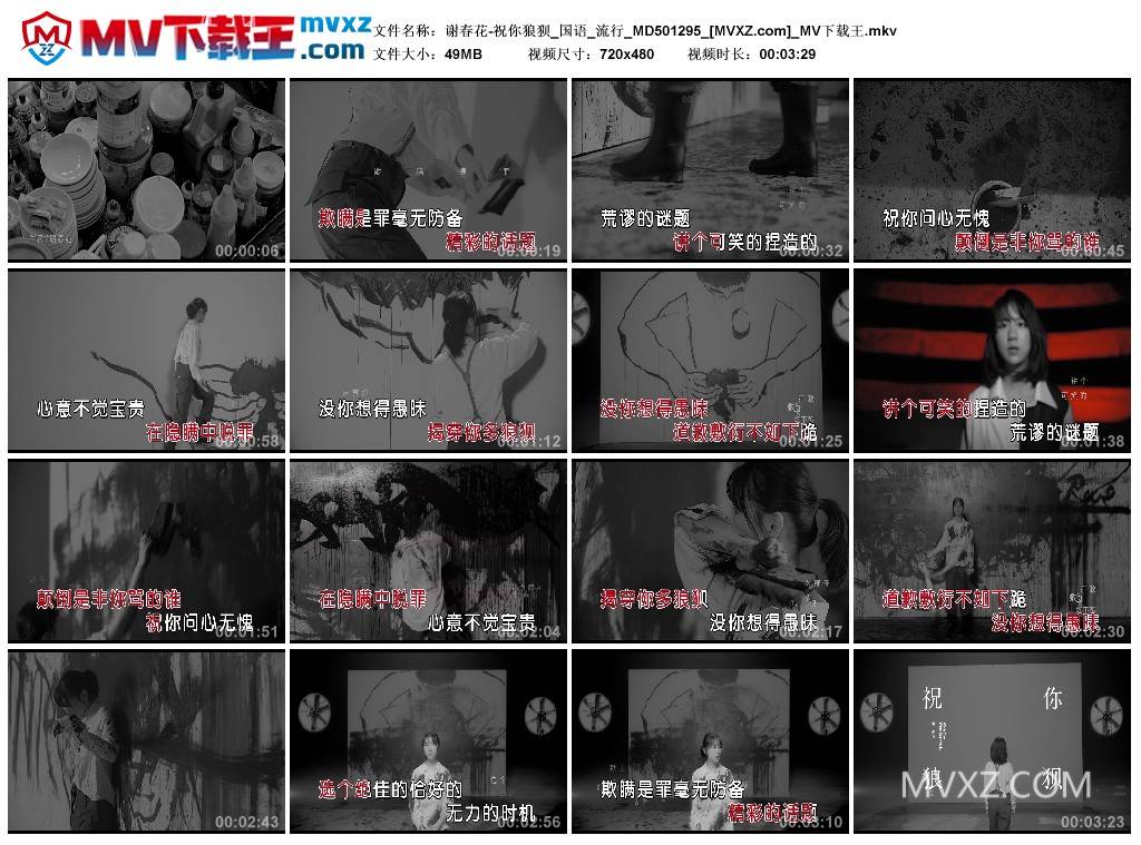 谢春花-祝你狼狈_国语_流行_MD501295